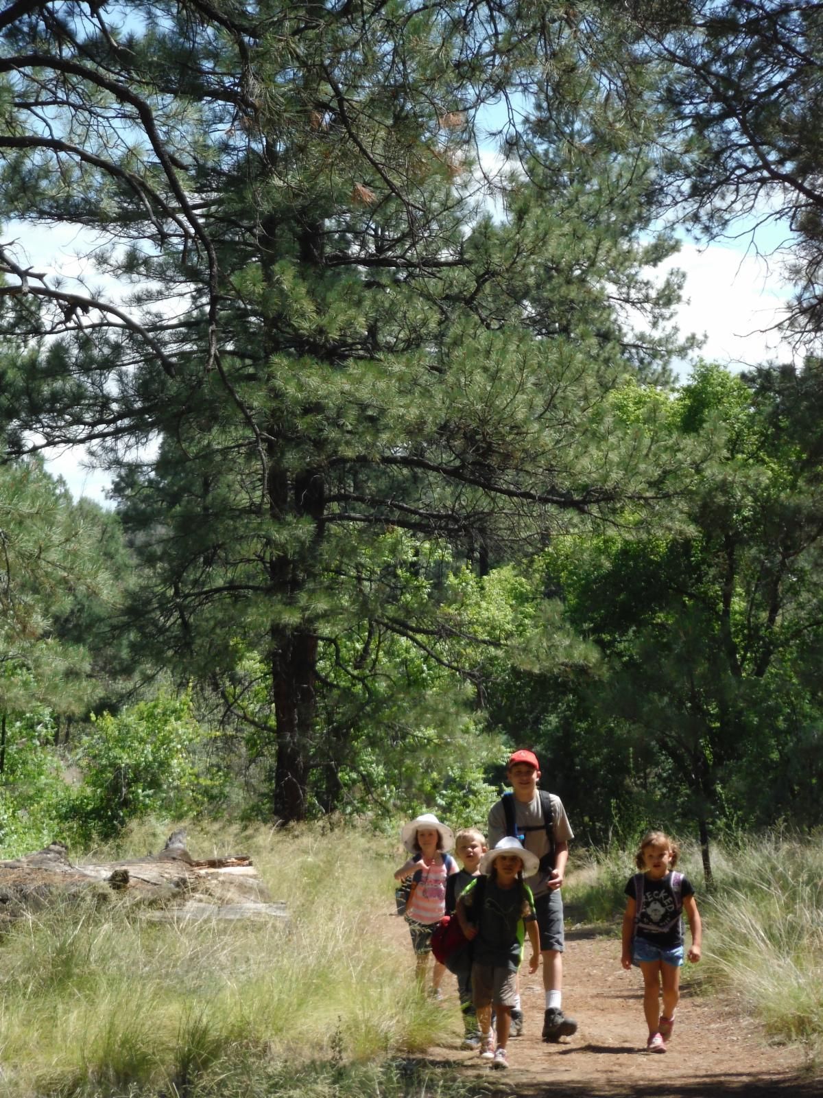 Highlands Center for Natural History, Highlands Center for Natural History in Prescott, Arizona
