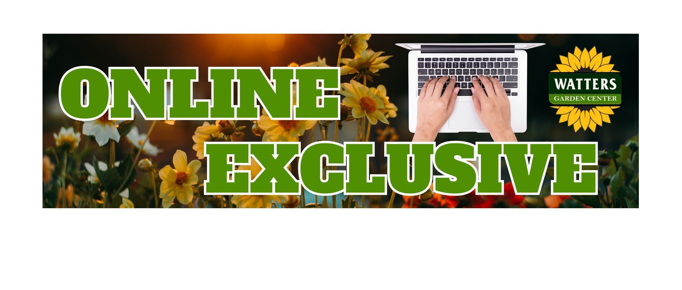 Watters Garden Center, Watters Garden Center plants and landscaping supply in Prescott, Arizona