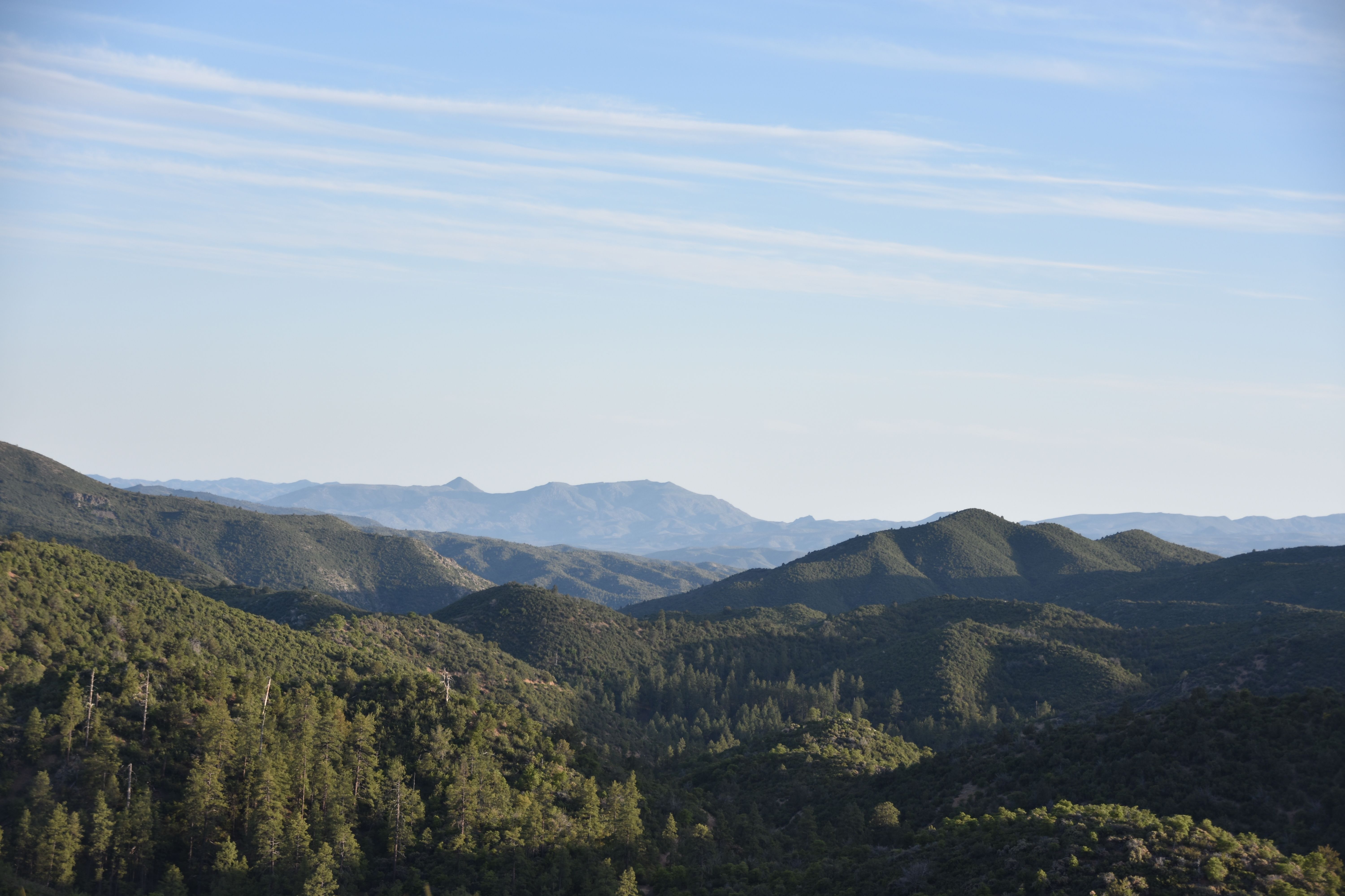 Arizona Horseback Ride (2 or more), Prescott National Forest, ponderosa pines and trails in Prescott, Arizona
